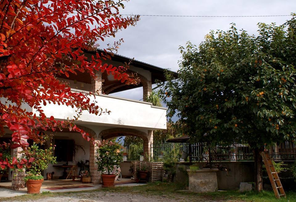 Caporiacco B&B Nella Terra Di Mezzo المظهر الخارجي الصورة